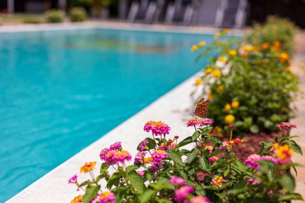 Shalom Chamo Villas อูวีตา ภายนอก รูปภาพ